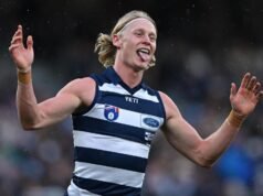 Cats shrug off concussion scandal with Bombers win
