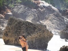 Alessandra Ambrosio: Brazilian supermodel engaged to Aussie jewellery designer Buck Palmer