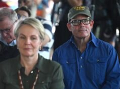 ‘Just a backbencher’: minister defends charged MP role