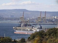 Ukrainian attacks pushing up global food prices: Russia