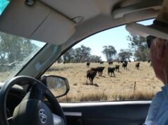 Labor seeks to boost fuel security from farming waste