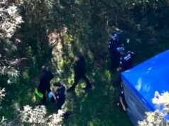 Foul play not ruled out after man found dead in Baulkham Hills creek