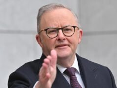 Albanese says his ‘melons’ hand gestures misinterpreted