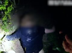 Woman and two men arrested in relation to Brisbane break-and-enter