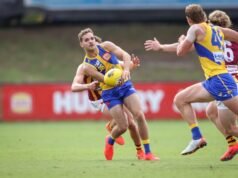 Banged-up Harley Reid cleared of injury after Collingwood heroics in West Coast Eagles defeat