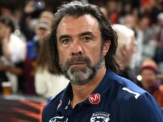 ‘Never said we’re perfect’: coach talks Cats’ culture