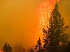 ‘We are not out of danger,’ mass fire evacuations in US