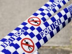 Teen shot in chest, found in car at Greenacre, Sydney