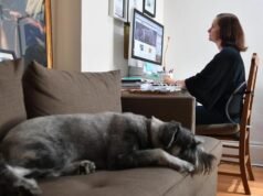 Work-from-home laws delayed as premier eyes ‘reset’