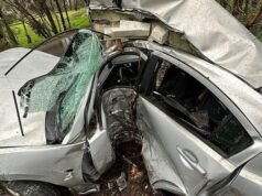 Young driver narrowly escapes with minor injuries after car wraps around tree in South Adelaide
