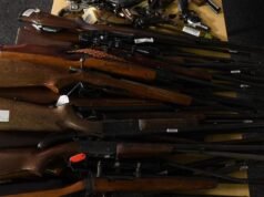 Gun licenses limited to citizens in firearms overhaul