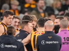 Hawks coach becomes ‘glorified fan’ in landmark finish