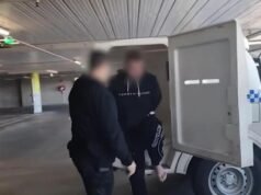 Three-day DV crackdown leads to hundreds of arrests