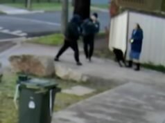 Couple allegedly stabbed on their morning walk through Adelaide