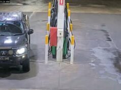 Desperate search underway for man allegedly shot and bundled into ute in Wildwood, Victoria
