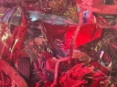 Man, 20, crashes dad’s car into tree in Dromana before going home for shower