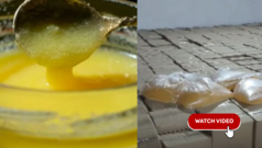 ગુજરાત : તમે જે ઘી ખાઓ છો તે અસલી છે કે કેમિકલ? ફૅક્ટરીમાંથી 1.67 કરોડનું નકલી ઘી ઝડપાયું