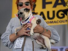 Pug crowned world’s ugliest dog