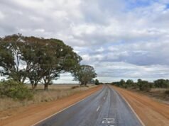 Man killed as car leaves road and strikes tree in Merivale, WA
