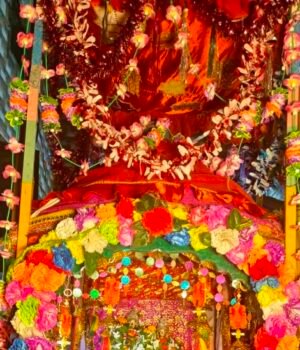 B.T-PUR-JHULANA-JHULANA-YATRA.jpeg