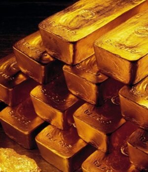 Gold_1785388373807_1785388379739_218882b7-9bc5-4de9-888e-065940f9ca49_1785580147360_a2d32d38-bc7f-4140-8687-04a8bcacc145.jpg
