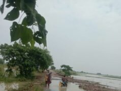 କାଁପଡ଼ା -ଈଶ୍ୱରପୁର ରାସ୍ତା ବିପଦ ସଂକୁଳ,ବନ୍ୟା ସ୍ରୋତରେ ରାସ୍ତା ଧୋଉଗଲା,ତିହିଡି ବ୍ଲକ ଦେଇ ବାବା ଆଖଣ୍ଡଳମଣି ଦର୍ଶନ ଅସମ୍ଭବ, ତୁରନ୍ତ ମରାମତି ଦାବି କଲେ ପୂର୍ବତନ ମନ୍ତ୍ରୀ ନେତ୍ରାନନ୍ଦ,ଅନୁଧ୍ୟାନ କଲେ ଆର. ଡ଼ି ଏସଡ଼ିଓ