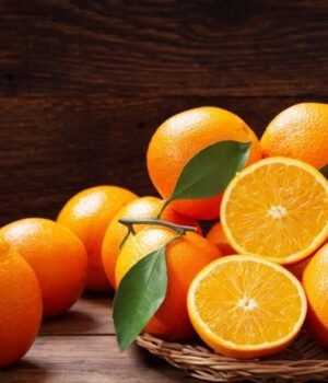 Kinnow_vs_orange_1786247286401_1786247286665_b83406c7-8196-4e33-a400-0c0788f4a1db.jpg
