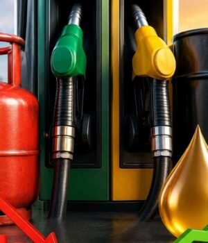 LPG_Petrol_1785695227337_1785695227461_ac61cac5-5a84-4c63-9a70-443ea4026ebd.jpg