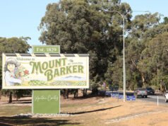 Small Farmers WA stacks up case for Mount Barker service kill abattoir