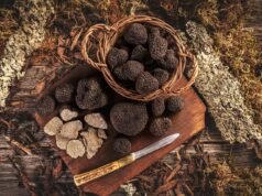 Opinion: The ingredient always comes first