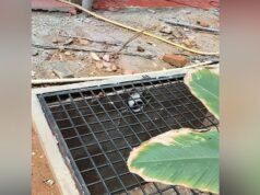 Water Board lauds Hyderabad resident for conserving rainwater