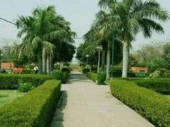 HYDRAA receives complaint over park, plot encroachment in Medchal