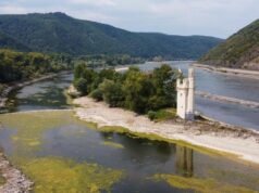 Drying up: Rhine could be ‘split in two’ by low water
