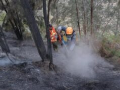 Crews mostly contain major Indonesian park blaze