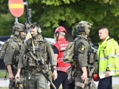 Police probe online networks after Sweden school attack