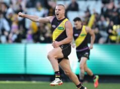 Young gun, veteran commit to Tigers ahead of Cats clash