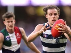 Cats defender’s career on hold after concussion row
