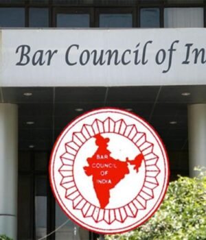 bar.jpg