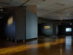 Time-based Encounters: Rare National Gallery video artworks arrive in Wanneroo