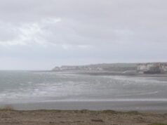 Jellyfish close down France’s largest nuclear reactor