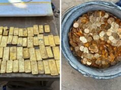 Teen digs for sewer line, finds gold stash worth 9 million euros hidden inside wall