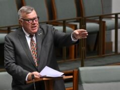 One Nation MP wants Australia to ‘survive on its own’
