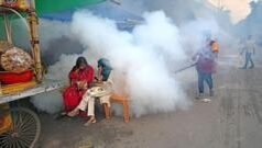 ডেঙ্গু নিয়ে ঢাকার বাইরে যে পাঁচ জেলা সবচেয়ে বেশি ঝুঁকিতে