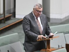 Joyce denies One Nation MP David Farley is looking to quit amid internal rift