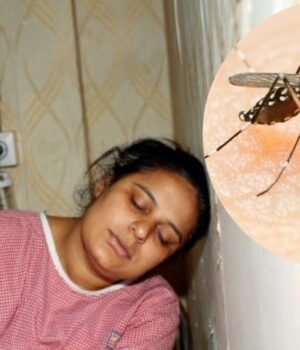 dengue_fever_ke_lakshan_1785995896245_1785995896361_06a6d5ff-4e00-4215-80ba-7ab5d58299ed.jpg