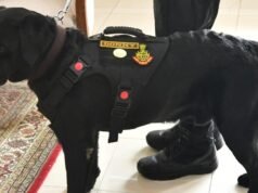 NSG dog Donny gets Army honour for Red Fort blast operations