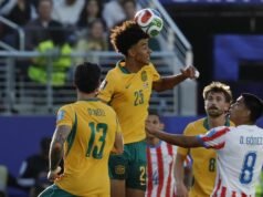 Socceroo Herrington in a league of his own at Hull