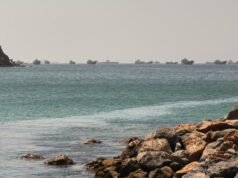 Iran and Oman still working on Hormuz accord: reports