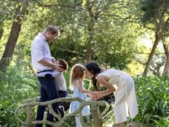 ‘Stay-at-home-dad’: Prince Harry’s reported new sparks fury among royal fans after Sussexes return to UK