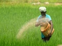 ചിങ്ങം പിറന്നു; ഇനി ഓണനാളുകള്, കേരളത്തില് കര്ഷക ദിനം
